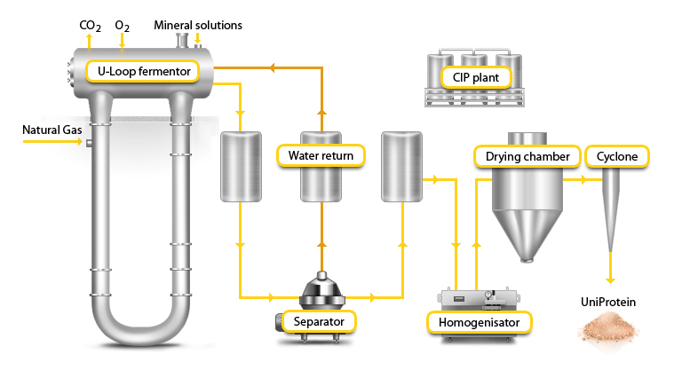 Process Systems